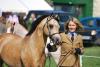 Troy show/ I. Delaitre    
