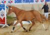 Championne de France