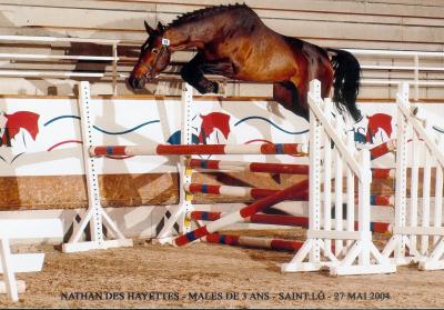 Nathan des Hayettes/Coll Prive