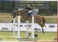Ilande du Dom par Calin d'Espoir Vice Championne de France Bejamin 2008