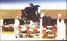 Dauphin de Savinia