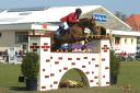 Jumper du Dom par Calin d'Espoir Finaliste 7ans