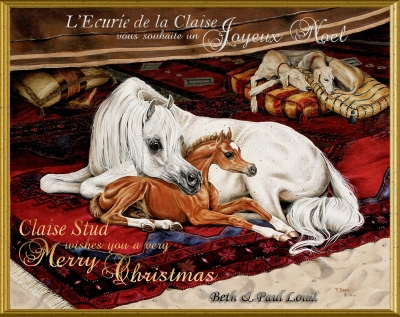 L'Ecurie de la Claise vous souhait un Joyeux Noel !