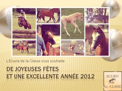 JOYEUSES FÊTES ET BONNE ANNEE 2012