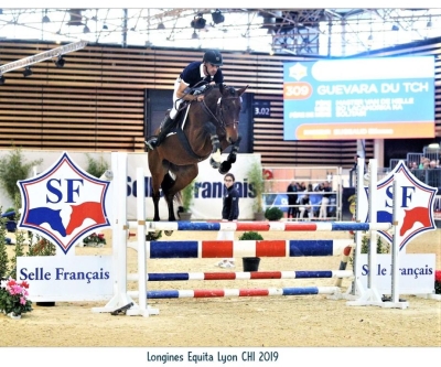   GUEVARA du TCHEY par MASTER van de HELLE 3e Championnat de France 3ans Monté/Equita Lyon!  