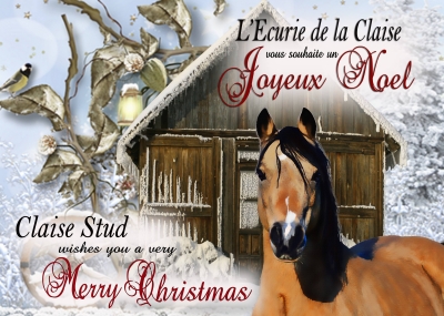 Joyeux Noel !!!