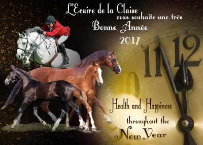 Bonne et Heureuse Nouvelle Année!!!