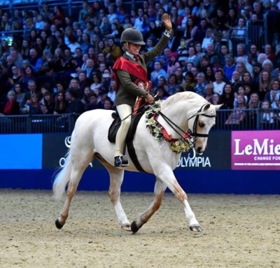 Félicitations CADLANVALLEY SANDPIPER par EYARTH TROY Best of Breed et Champion Suprême Olympia/Londres!!!