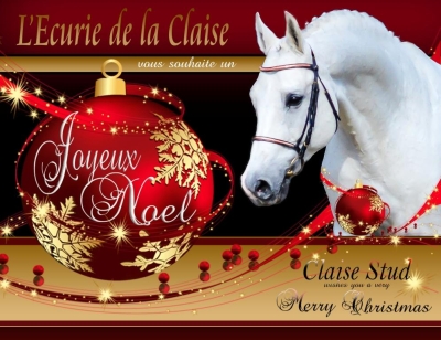 L'Ecurie de la Claise vous souhaite un Joyeux Noel .