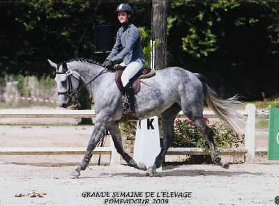 Félicitations à Roxie Diam et sa cavaliere Gaelle T'Kinit de Roodenbeke