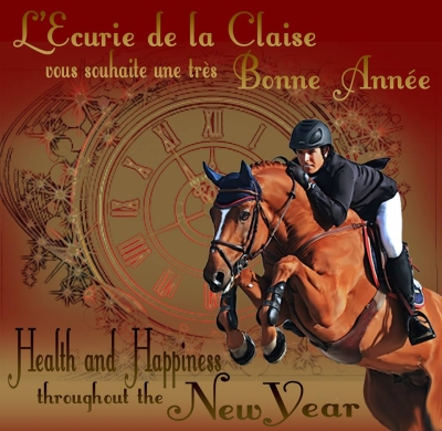 L'Ecurie de la Claise vous souhaite une excellente année 2018. Nous espérons le meilleur pour chacun d'entre vous et vos chevaux : Naissances, Victoires, Santé et plein de Bonheur !