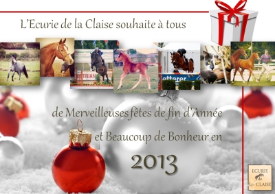 JOYEUSES FETE ET BONNE ANNEE 2013 !!!