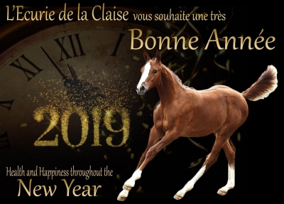 L'Ecurie de la Claise vous souhaite une excellente année 2019. Nous espérons le meilleur pour chacun d'entre vous et vos chevaux : Naissances, Victoires, Santé et plein de Bonheur !