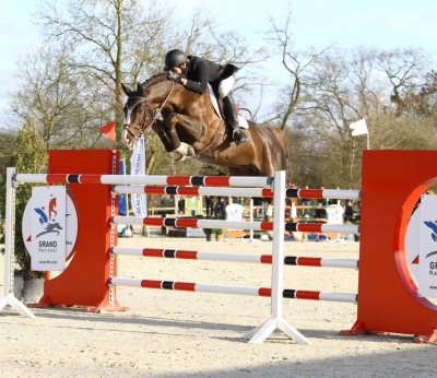 Pour la saison 2019 on a le plaisir d'accueillir L'AMOUR du BOIS (Rosire/ Muguet du Manoir) Grand performer CSO/CSI ISO 171* Excellent pedigree Selle Français Originel* Styliste*Souple*Puissant*