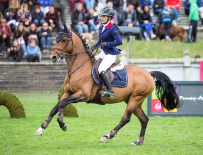 Bienvenue à MONTBAZILLAC du LIN (Montpellier/Principal Boy) Excellent performeur CSIO/Grand Prix * IPO 155 * Sang *Chic *Locomotion.* Approuvé PFS, Welsh Part Bred!