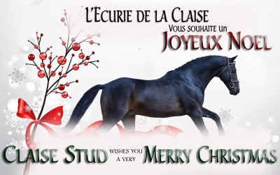 Joyeux Noel !!!