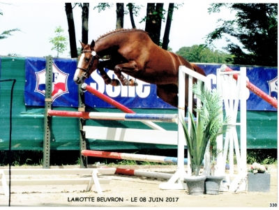 Les Filles de MASTER van de HELLE prouvent leurs qualités !!!