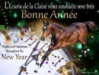 L'Ecurie de la Claise vous souhaite une excellente année 2020. Nous espérons le meilleur pour chacun d'entre vous et vos chevaux : Naissances, Victoires, Santé et plein de Bonheur !