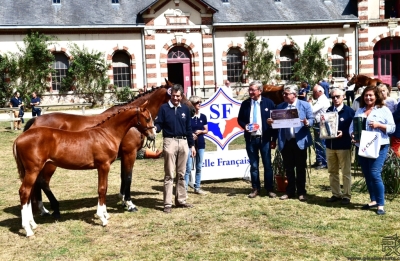 Ilyssa Blue Diam ( Nectar des Forêts/ Helios de la Cour) 2eme Femelle Agée Championnat de France Foals Selle Français