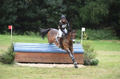 Beaune d'Epte par Quack *AA* née chez Laurianne De Sutter qualifié pour le championnat de France des 7 ans CCE ainsi que Le Mondial du Lion d'Angers . Bravo!