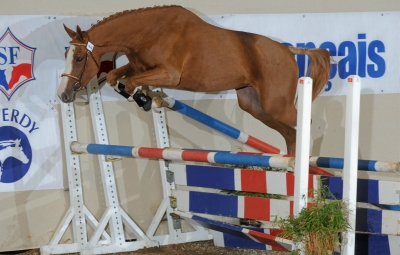 Scarlet du Dom --Sacré Championne de France!!!!