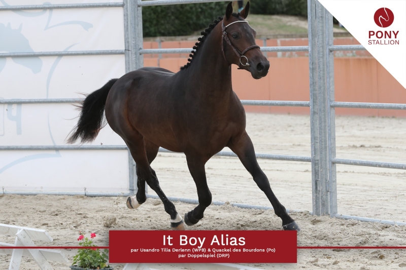 <b>It's Boy Alias par Usandro</b>     Coll privé Le Guen